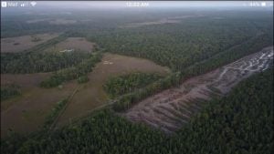 Aripo Savannas Deforestation