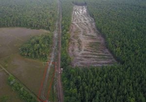 Aripo Savannas Tire Tracks